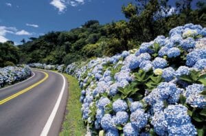 Como ir de Porto Alegre a Gramado