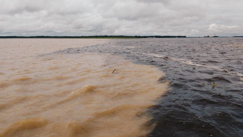 O espetacular encontro das águas em Manaus