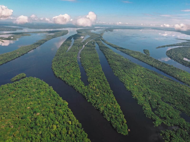 Arquipélago de Anavilhanas, Amazônia