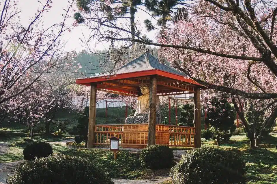 Parque da Cerejeira em Campos do Jordão