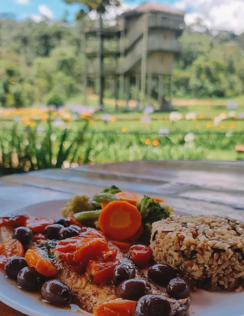 Almoço no Parque Tarundo