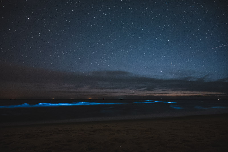 Bioluminescência do mar em Cabo Polônio à noite