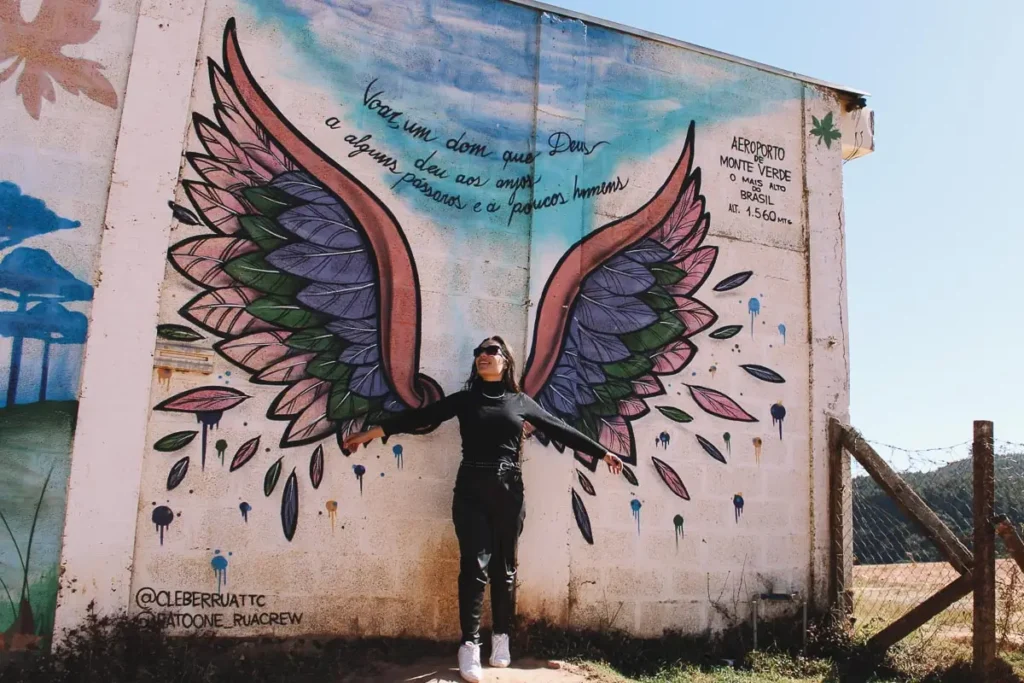 Pintura de asas em Monte Verde