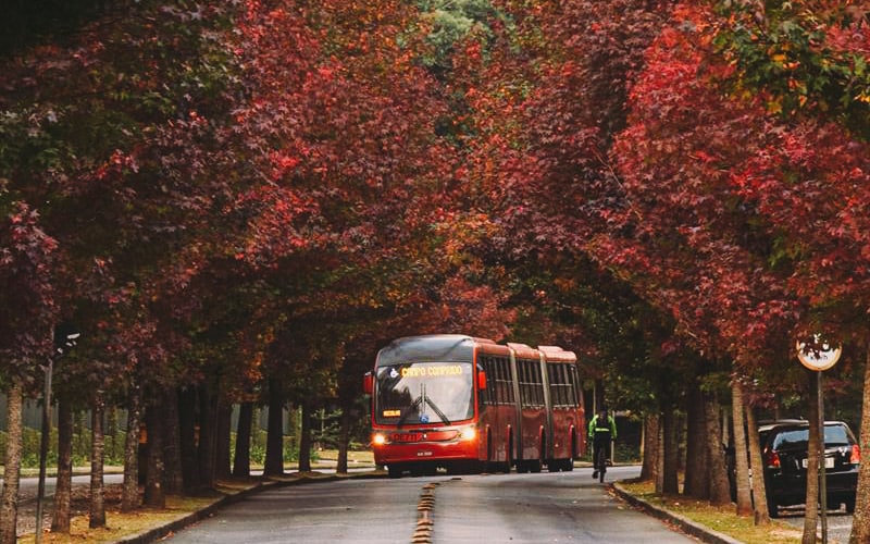 Curitiba é uma das cidades mais bonitas para conhecer durante o outono no Brasil