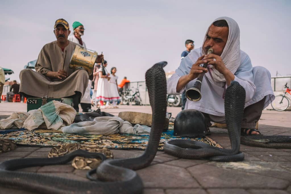 Encantadores de serpentes em Marrakech