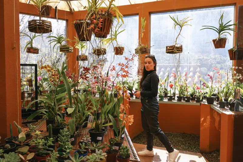 Visita ao Orquidário de Monte Verde