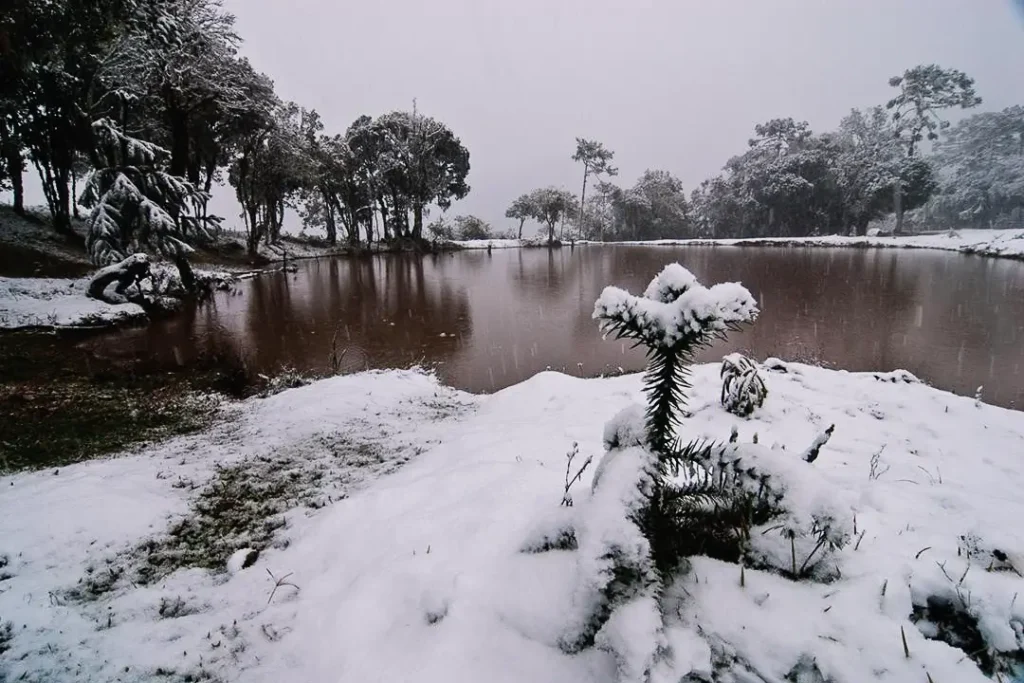 Urubici é um dos melhores lugares para viajar em julho no Brasil se quiser ver neve
