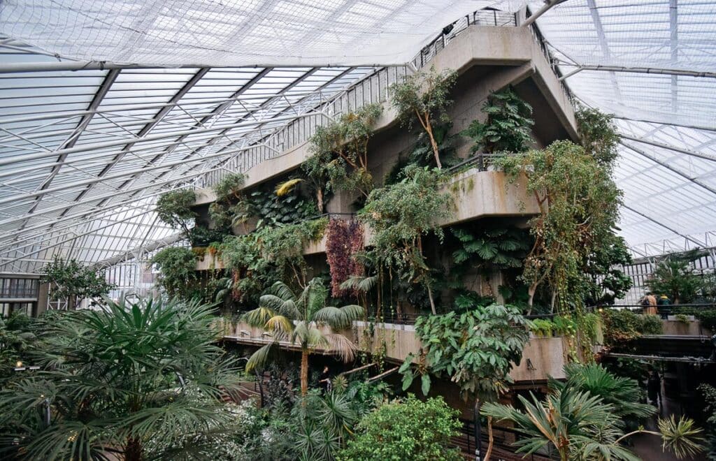 Barbican Conservatory é um jardim tropical no meio da arquitetura brutalista em Londres