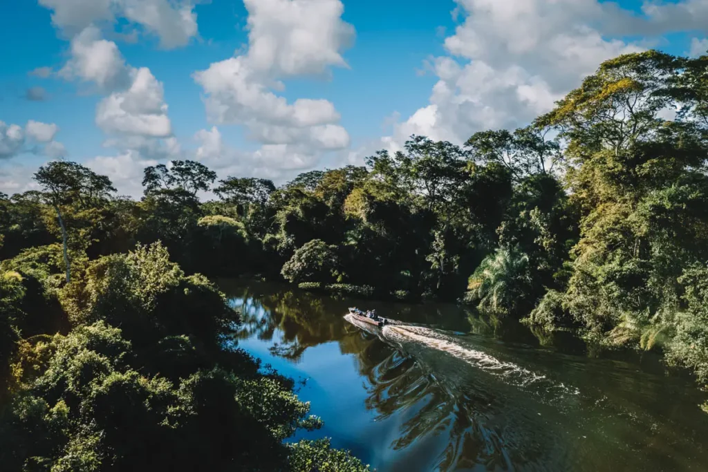 eSIM mantém viajantes conectados na Amazônia e no Pantanal, entre outros lugares selvagens no Brasil