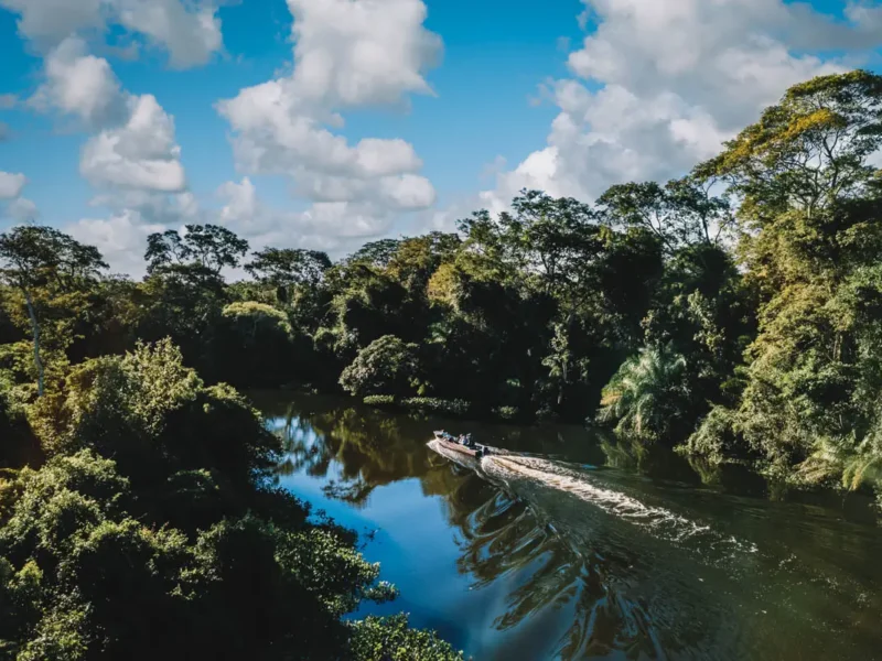 Da Amazônia ao Pantanal: como o eSIM mantém os aventureiros conectados