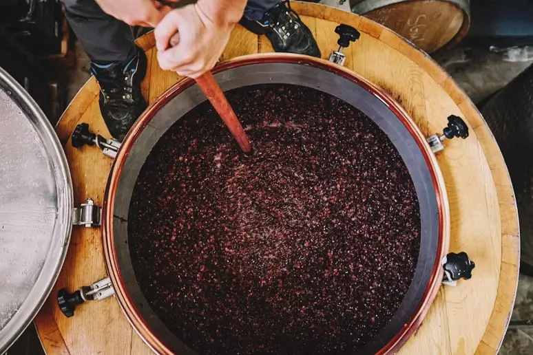 Cozimento das uvas para fabricação de vinho