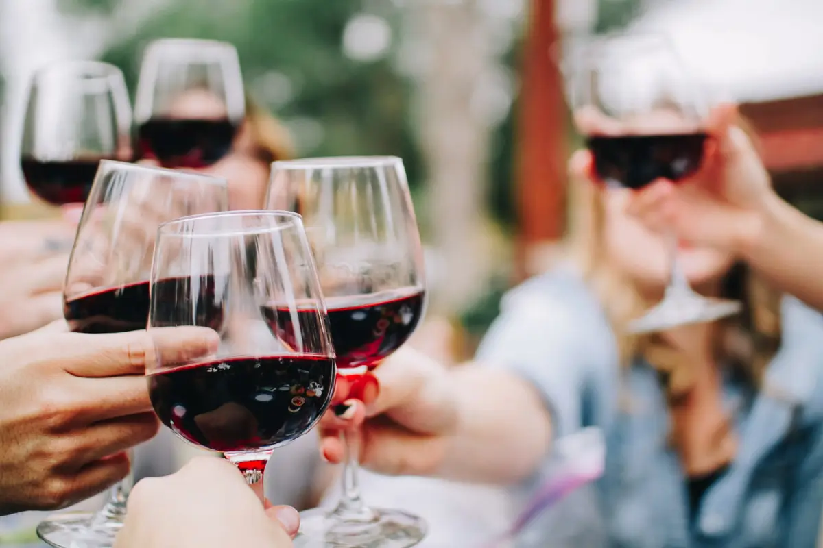 Passeios de vinho em Punta del Este: guia para viver o melhor do enoturismo uruguaio