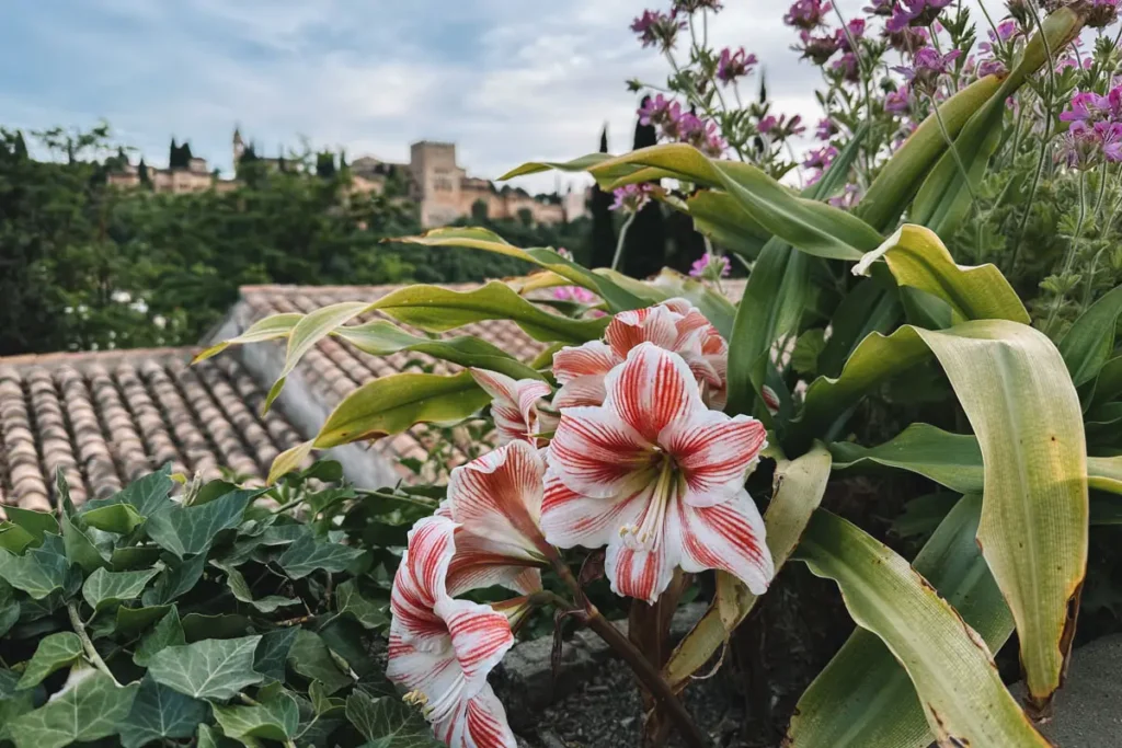 Jardim da Casa del Chapiz com a Alhambra ao fundo